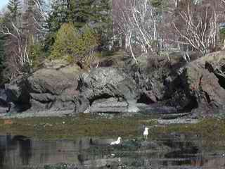 Arch Rock from a distance