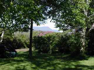 Mt St Joseph