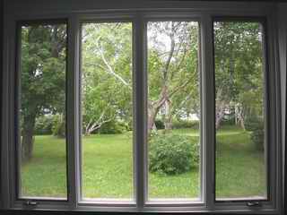 East yard through dining room windows